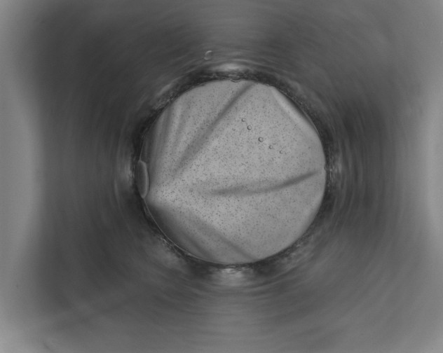 X0000111940566200908171259