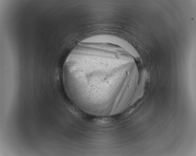 X0000111940567200908171259