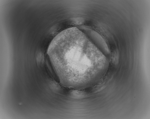 X0000111940568200908171259