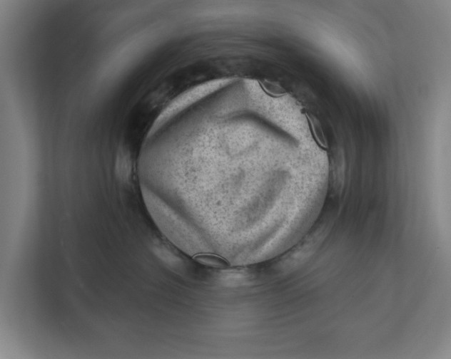 X0000111940574200908171259