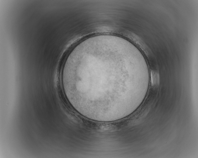 X0000111940579200908171259