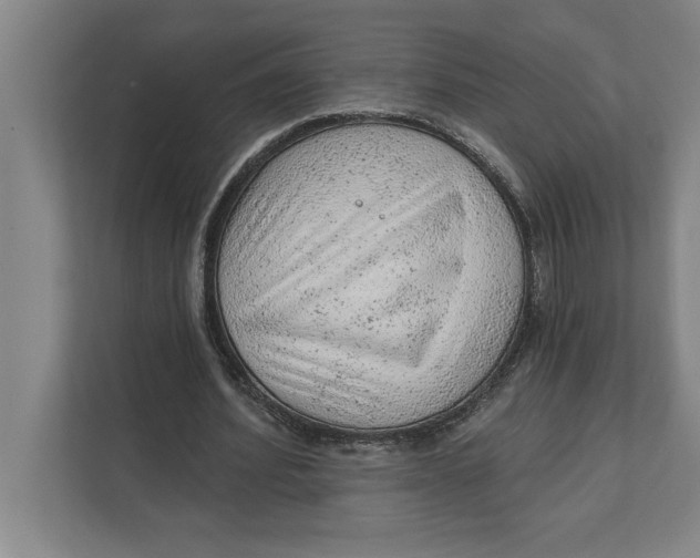 X0000111940580200908171259