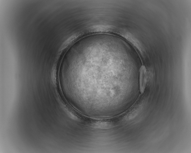 X0000111940581200908171259