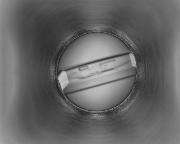 X0000111940585200908171259