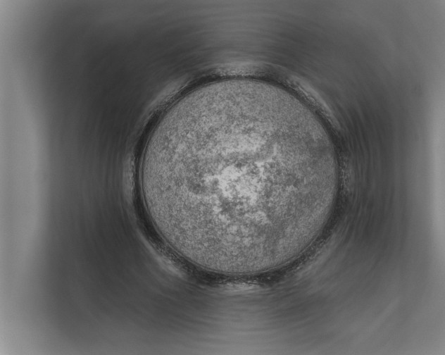 X0000111940586200908171259