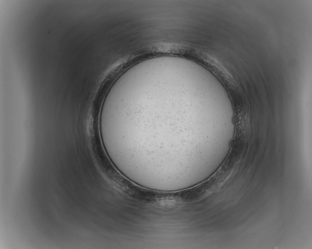 X0000111940587200908171259