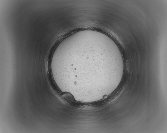 X0000111940589200908171259