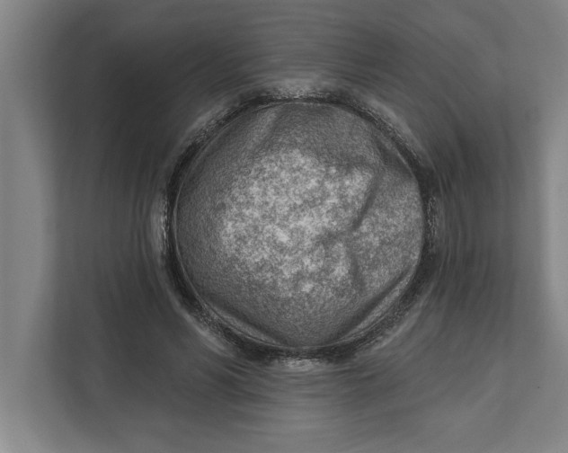 X0000111940590200908171259