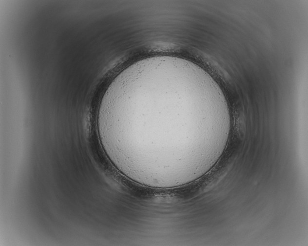 X0000111940591200908171259