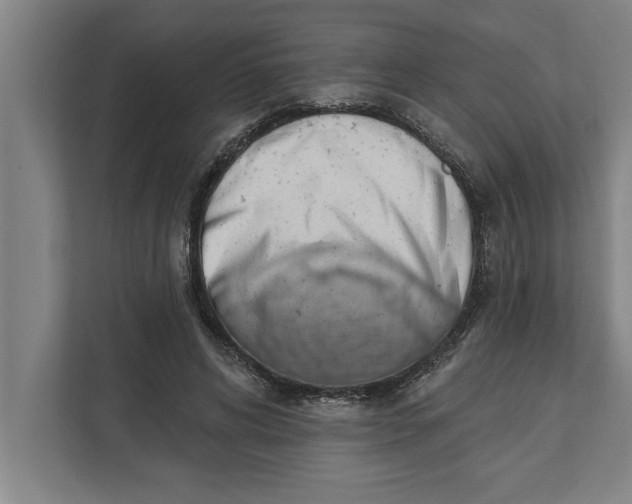 X0000111940592200908171259