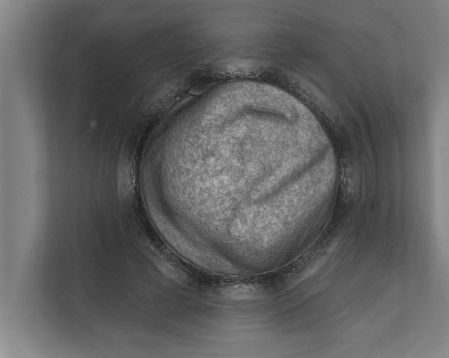 X0000111940593200908171259