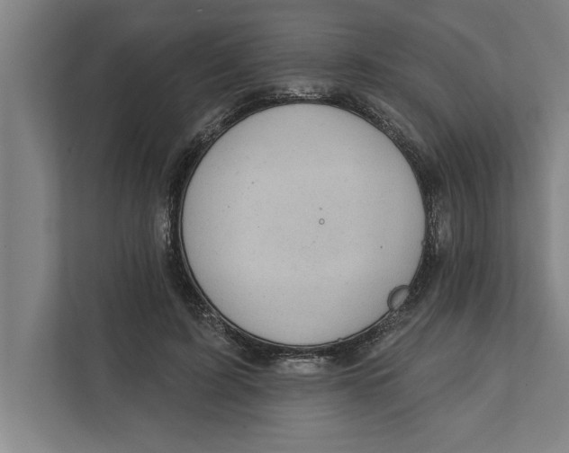 X0000111940595200908171259