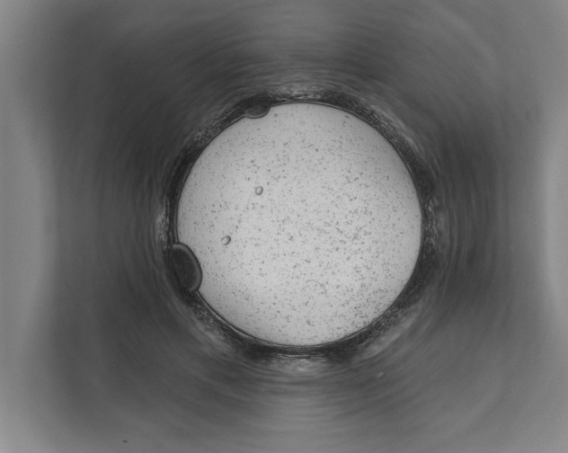 X0000111940597200908171259