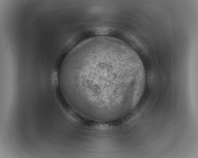 X0000111940598200908171259