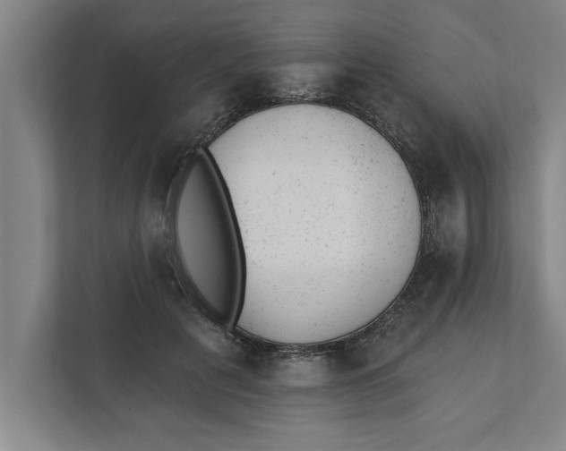 X0000111940601200908171258