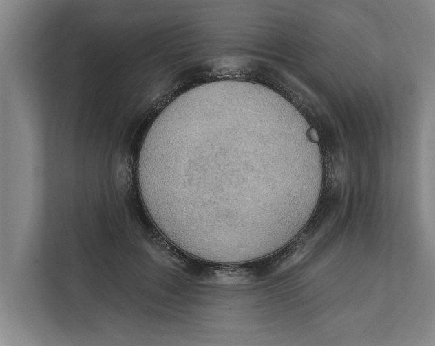 X0000111940603200908171258