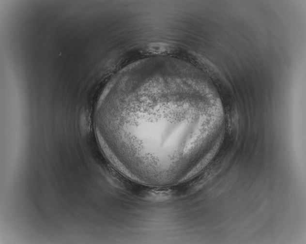 X0000111940606200908171258