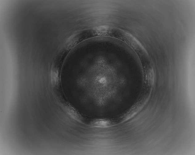 X0000111940610200908171258