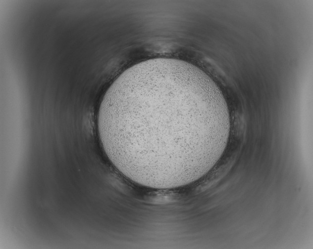 X0000111940612200908171258