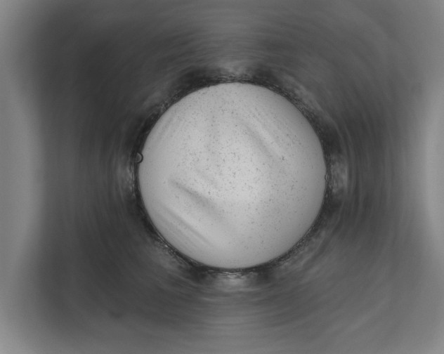 X0000111940613200908171258