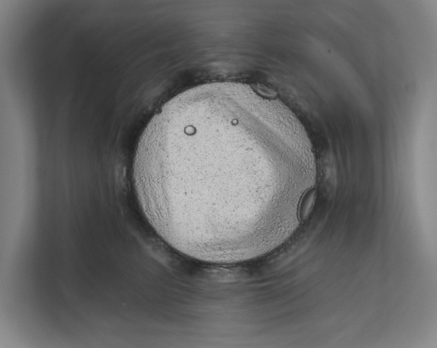 X0000111940615200908171258