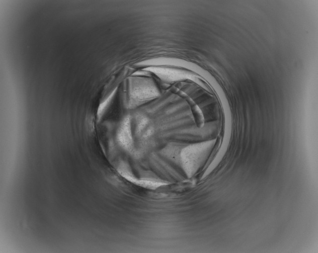 X0000111940621200908171258