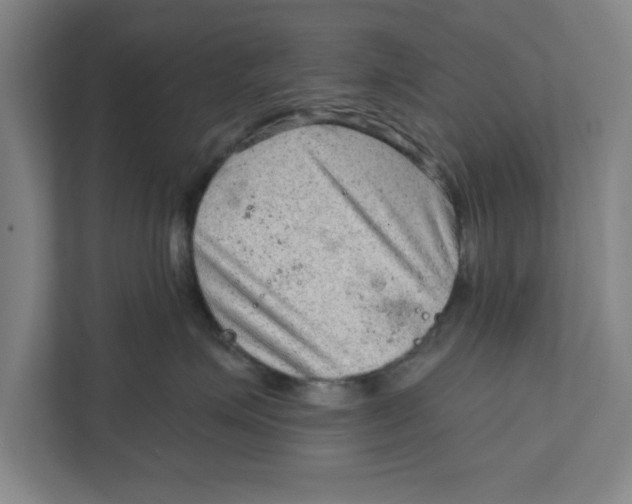 X0000111940623200908171258