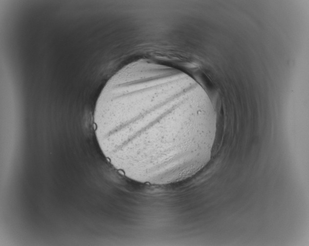 X0000111940624200908171258