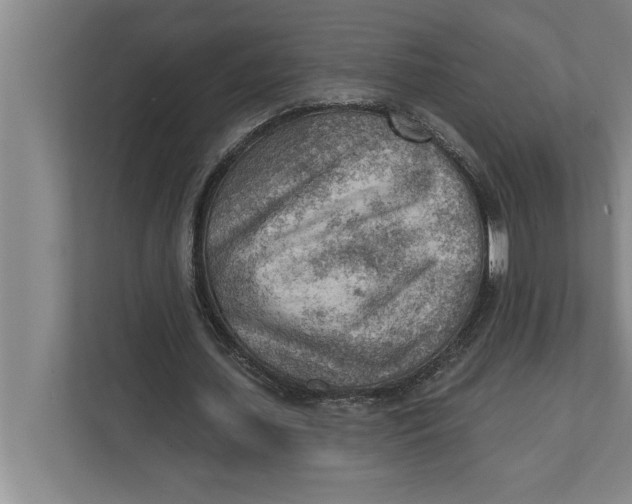 X0000111940627200908171258