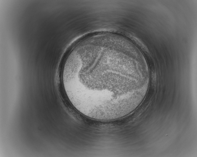 X0000111940628200908171258