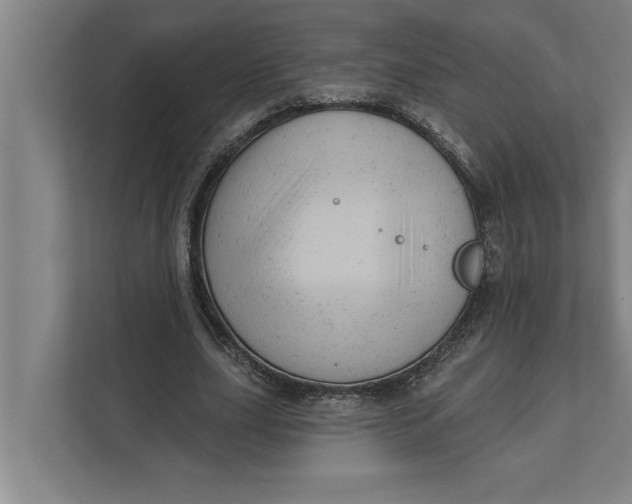 X0000111940631200908171258