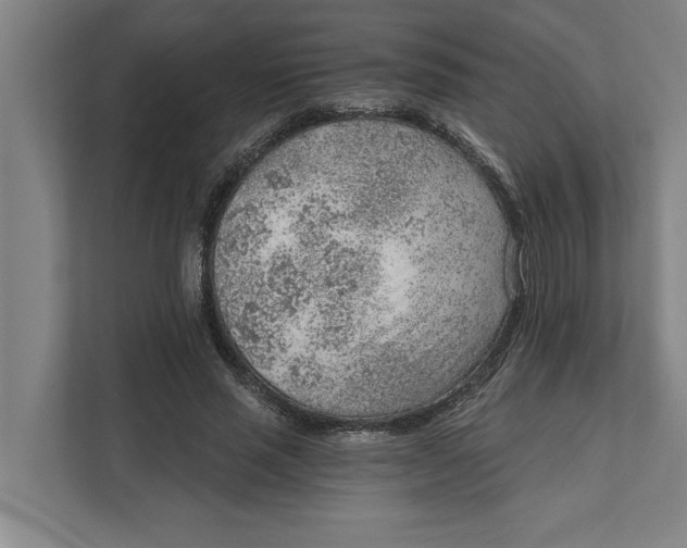 X0000111940637200908171258