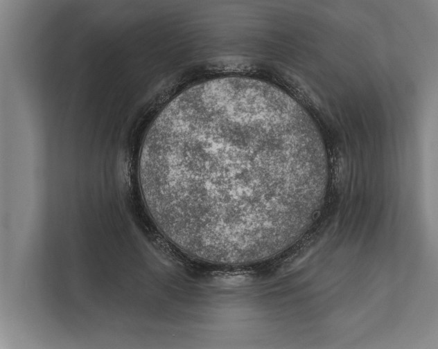 X0000111940643200908171258