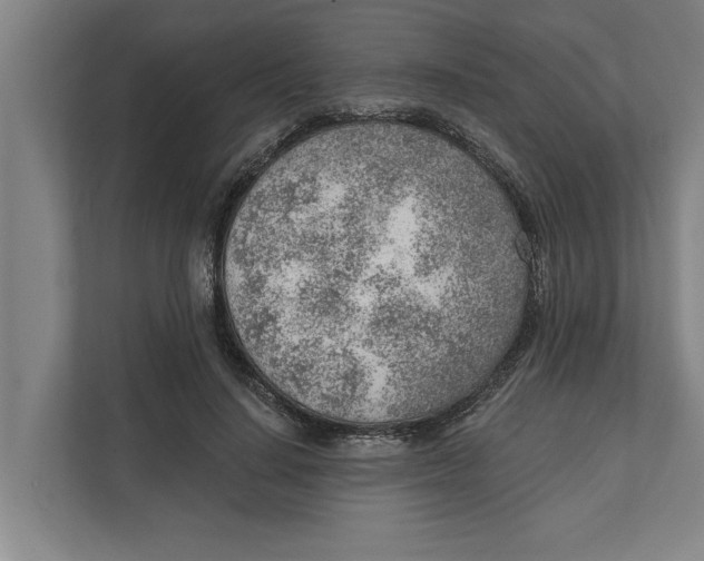 X0000111940644200908171258