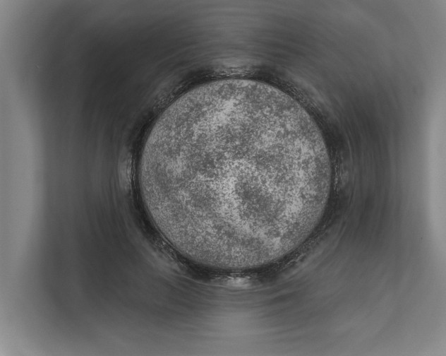 X0000111940647200908171258