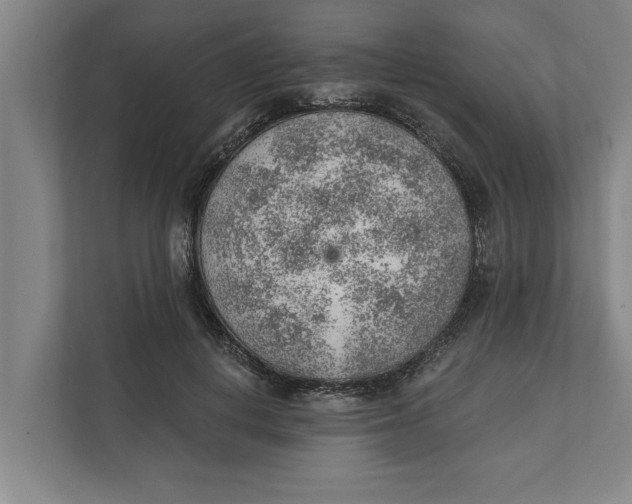 X0000111940648200908171258