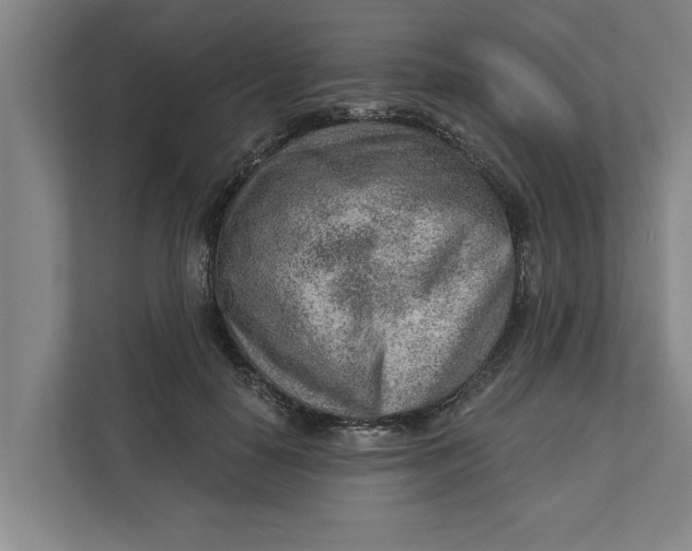 X0000111940650200908171258