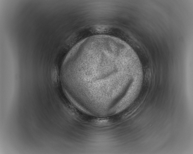 X0000111940651200908171258