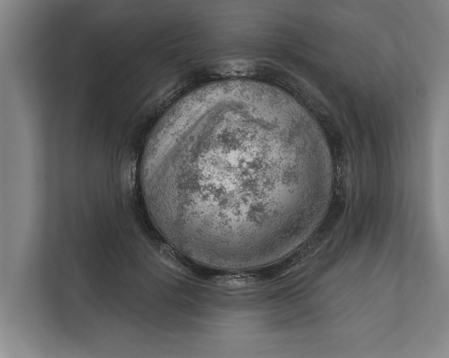 X0000111940652200908171258