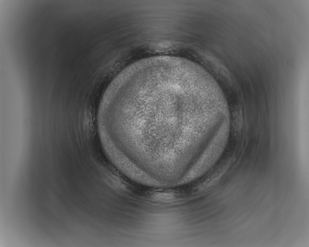 X0000111940653200908171258