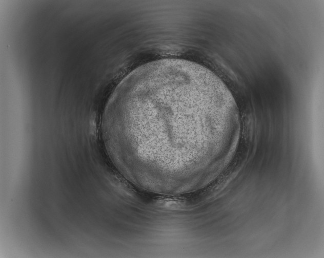 X0000111940655200908171258