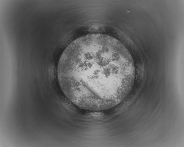 X0000111940659200908171258