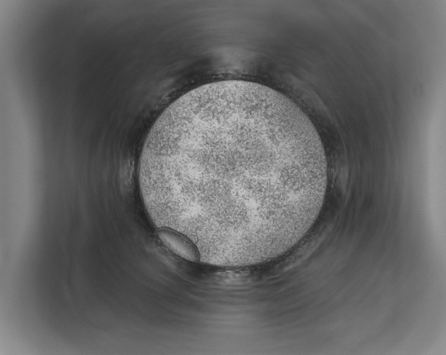 X0000111940660200908171258