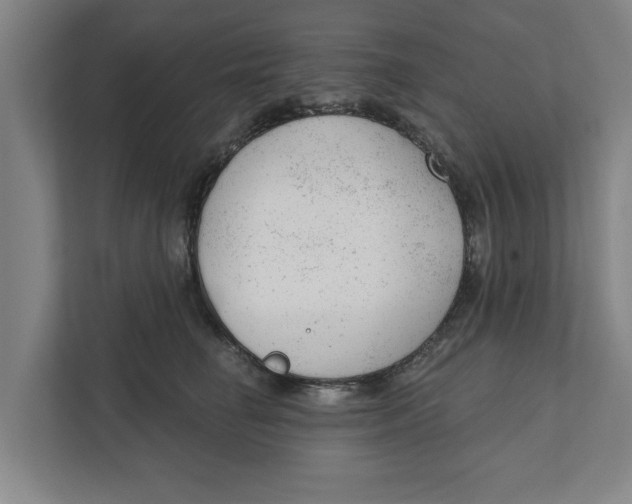 X0000111940662200908171258