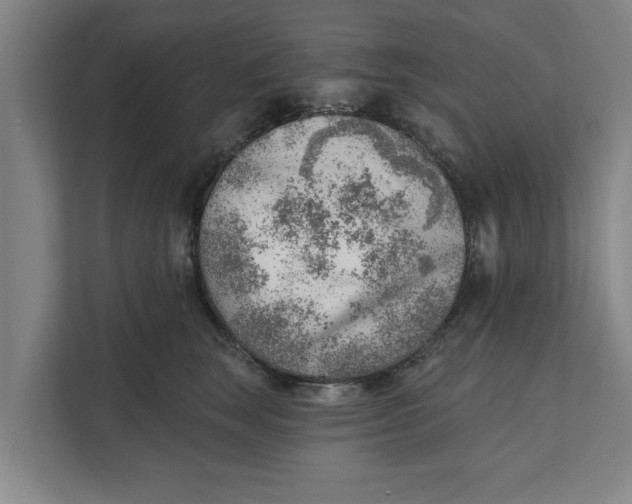 X0000111940663200908171258