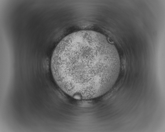 X0000111940664200908171258