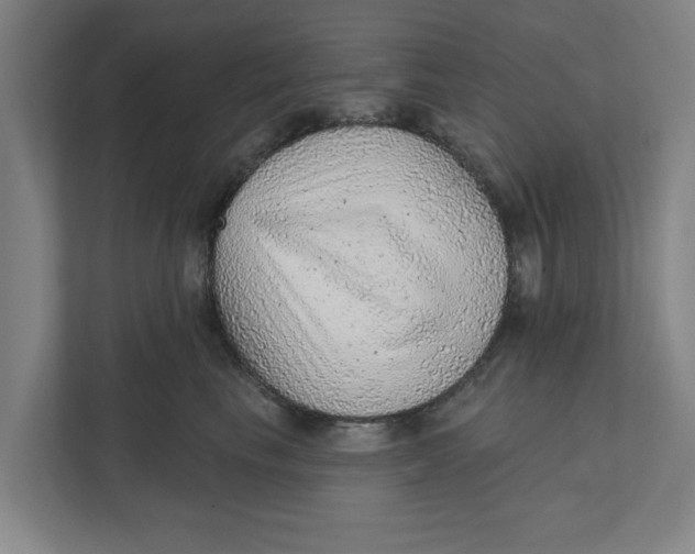 X0000111940665200908171258