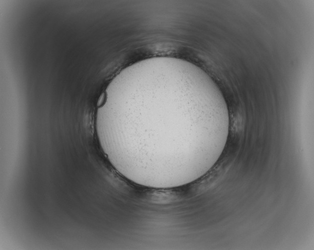 X0000111940666200908171258