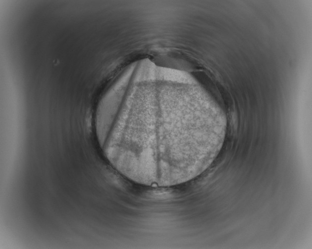 X0000111940668200908171258