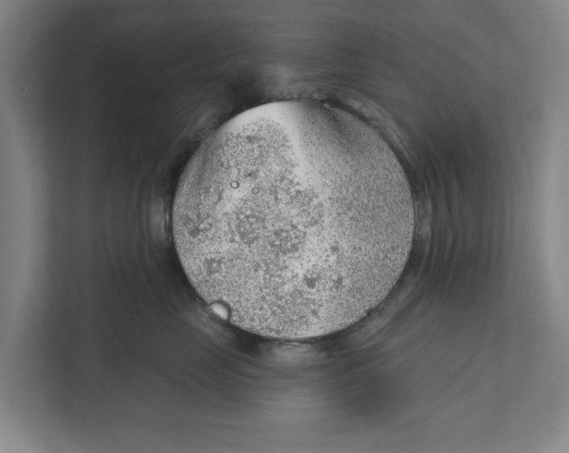 X0000111940669200908171258